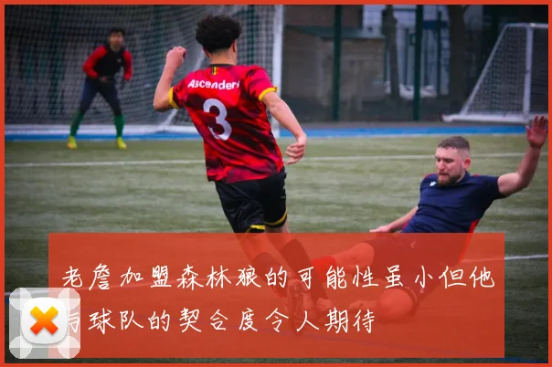 老詹加盟森林狼的可能性虽小但他与球队的契合度令人期待